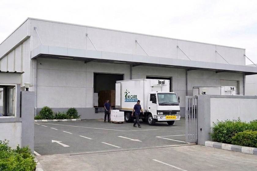M Care Exports branded refrigerated truck loading at a pharmaceutical depot gate